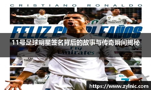 芒果体育官网入口