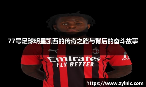 芒果体育官方网站