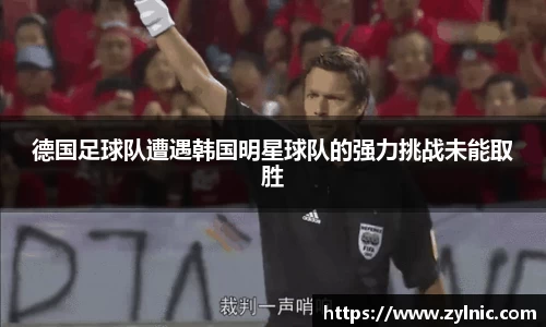 芒果体育官网入口