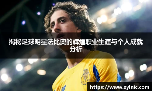 揭秘足球明星法比奥的辉煌职业生涯与个人成就分析